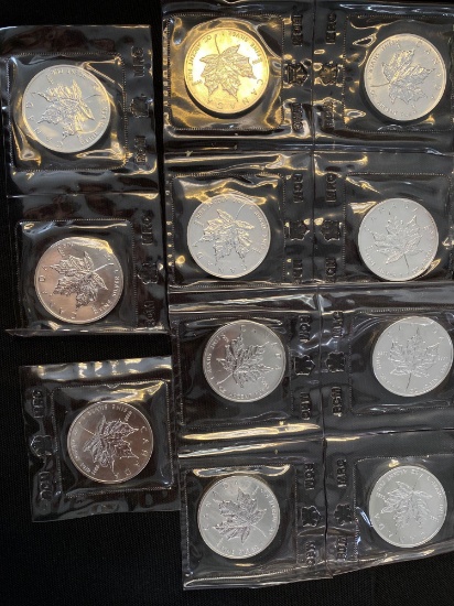 1 Lot of 11 Canadian 5 Dollar Silver Rounds (1 ounce each)