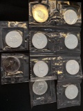 1 Lot of 10 Canadian 5 Dollar Silver Rounds ( 1 ounce each)