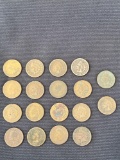 1 Lot of Indian Head Pennies