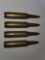 243 Winchester Ammo