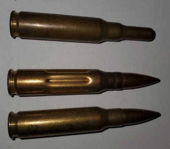.308 Winchester Ammo Rounds