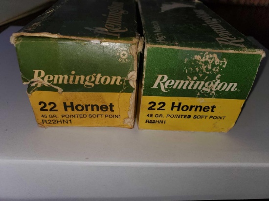 Remington 22 Hornet Ammo