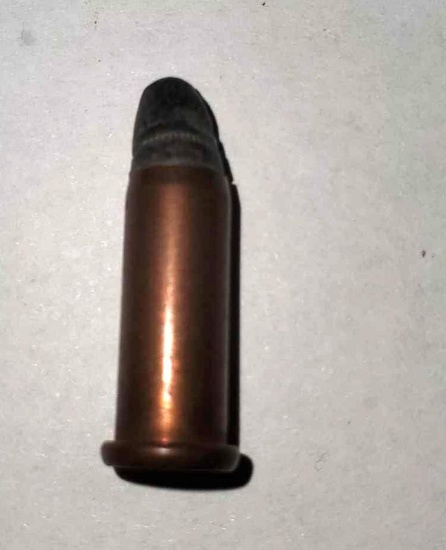 22 Winchester auctomatic Ammo