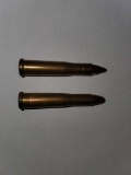 22 Hornet Ammo