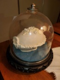 Ceramic Egg in Glass Display Case