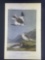 Audubon First Edition Octavo Print Plate No. 155 Snow Lark-Bunting