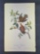 Audubon First Edition Octavo Print Plate No. 281 Zenaida Dove