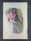 Audubon First Edition Octavo Plate No. 362 Roseate Spoonbill