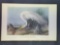 Audubon First Edition Octavo Plate No. 370 Great American White Egret