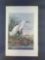 Audubon First Edition Octavo Plate No. 374 Snowy Heron