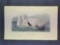 Audubon First Edition Octavo Plate No. 382 Trumpeter Swan (Adult)