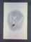 Audubon First Edition Octavo Plate No. 433 Common Tern