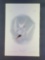 Audubon First Edition Octavo Plate No. 433 Common Tern