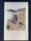 Audubon First Edition Octavo Plate No. 50 Bank Swallow