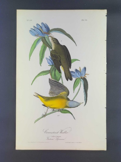 Audubon First Edition Octavo Plate No 99 Connecticut Warbler