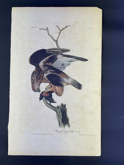 Audubon 1st Ed. Octavo Pl. 11 Rough-legged Buzzard