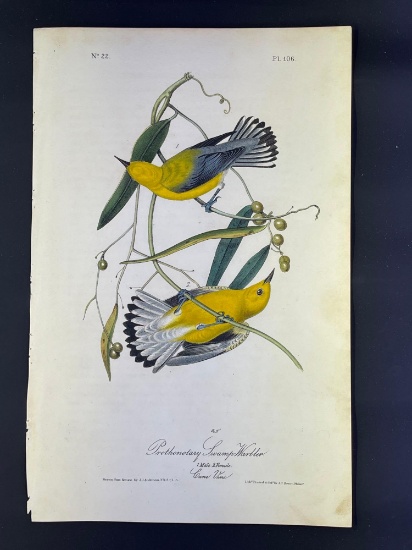 Audubon First Edition Octavo print Plate No. 106 Prothonotary Swamp-Warbler