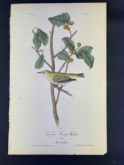 Audubon First Edition Octavo print Plate No. 110 Tennessee Swamp Warbler
