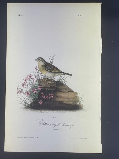 Audubon First Edition Octavo Print Plate No. 162 Yellow-winged Bunting