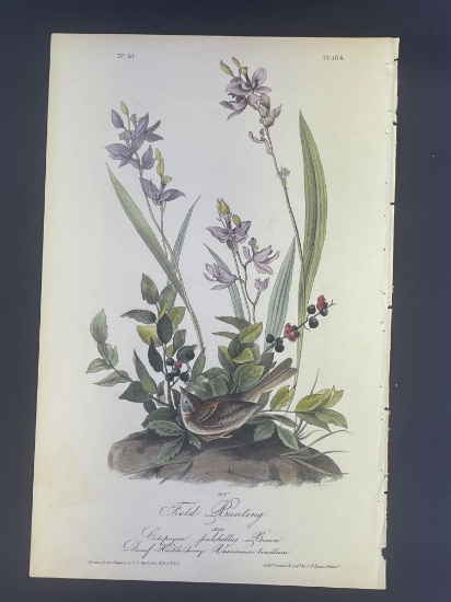 Audubon First Edition Octavo Print Plate No. 164 Field Bunting
