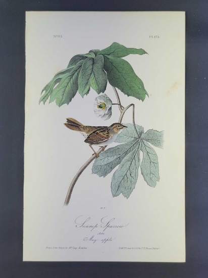 Audubon First Edition Octavo Print Plate No. 175 Swamp Sparrow