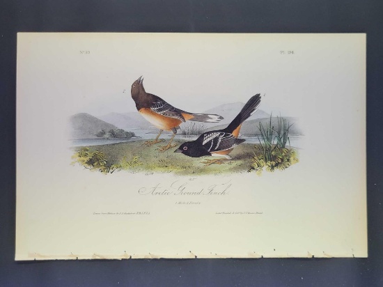 Audubon First Edition Octavo Print Plate No. 194 Arctic Ground Finch