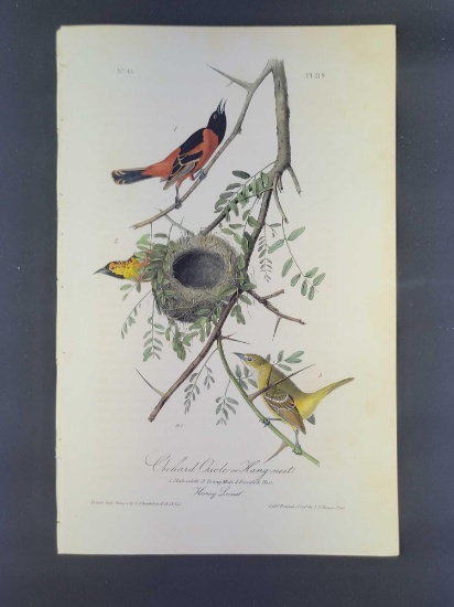 Audubon First Edition Octavo Print Plate No. 219 Orchard Oriole or Hang-nest