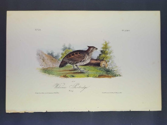 Audubon First Edition Octavo print Plate No. 292 Welcome Partridge