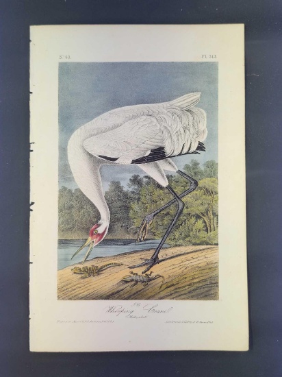Audubon First Edition Octavo Print Plate No. 313 Whooping Crane