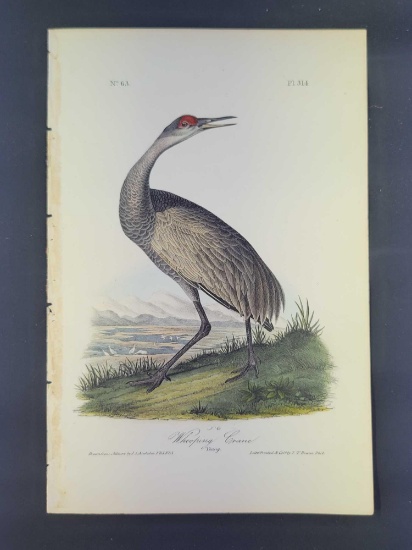 Audubon First Edition Octavo Print Plate No. 314 Whooping Crane