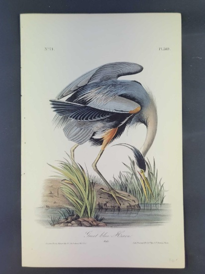 Audubon First Edition Octavo Plate No. 369 Great Blue Heron