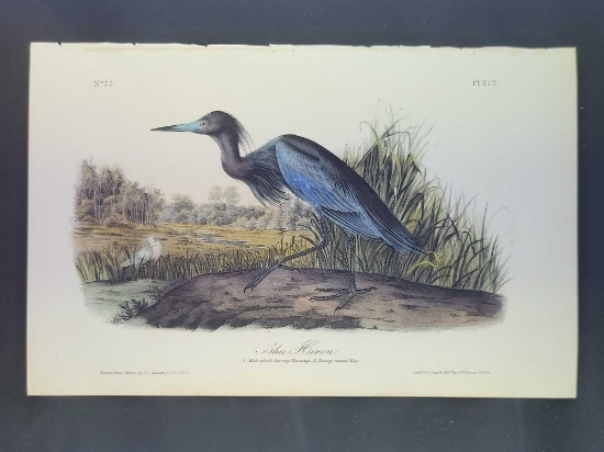 Audubon First Edition Octavo Plate No. 372 Blue Heron