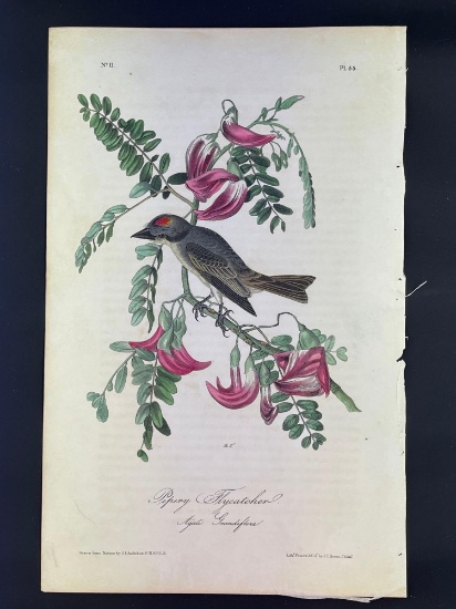 Audubon First Edition Octavo Plate No. 55 Pipiry Flycatcher