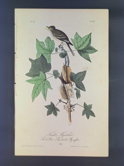 Audubon First Edition Octavo Plate No. 65 Traill's Flycatcher