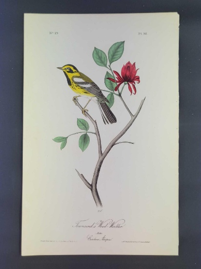 Audubon First Edition Octavo Plate No 92 Townsend's Wood-Warbler
