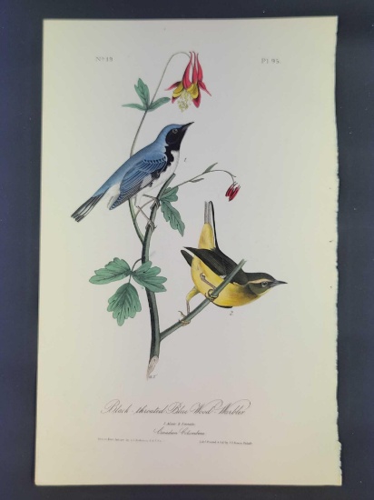 Audubon First Edition Octavo Plate No 95 Black-throated Blue Wood Warbler