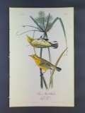 Audubon First Edition Octavo Plate No 97 Prairie Wood-Warbler