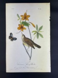 Audubon First Edition Octavo print Plate No. 104 Swainson's Swamp Warbler