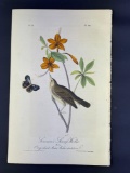 Audubon First Edition Octavo print Plate No. 104 Swainson's Swamp Warbler