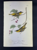 Audubon First Edition Octavo print Plate No. 109 Worm-eating Swamp Warbler Carbonated Swamp-Warbler