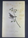 Audubon First Edition Octavo Print Plate No. 157 Townsend's Bunting