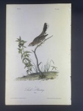Audubon First Edition Octavo Print Plate No. 158 Lark Bunting