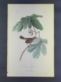 Audubon First Edition Octavo print Plate No. 175 Swamp Sparrow