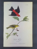 Audubon First Edition Octavo Print Plate No. 209 Scarlet Tanager