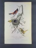 Audubon First Edition Octavo Print Plate No. 219 Orchard Oriole or Hang-nest