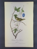 Audubon First Edition Octavo Print Plate No. 242 Bartrams Vireo or Greenlet