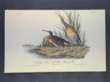 Audubon First Edition Octavo Print Plate No. 310 Clapper Rail or Salt Water Marsh Hen