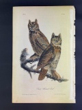 Audubon First Edition Octavo Plate No. 39 Great Horned-Owl