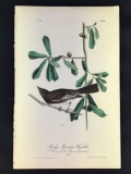 Rocky Mountain Flycatcher Plate No. 60 Audubon First Edition Octavo