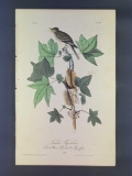 Audubon First Edition Octavo Plate No. 65 Traill's Flycatcher